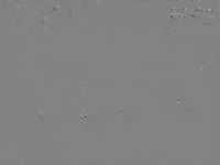 г ϺVSൺţ 20240721