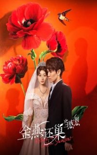 ���໹�����ж�