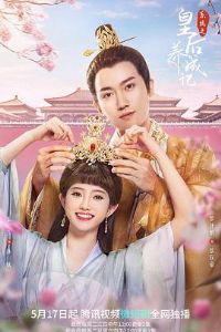 ϵͳ֮�ʺ����ɼ�