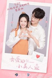 �װ���С������