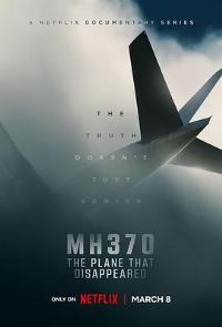 MH370����ʧ�ĺ���